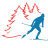 Соревнования по лыжным гонкам «Малые Олимпийские игры»